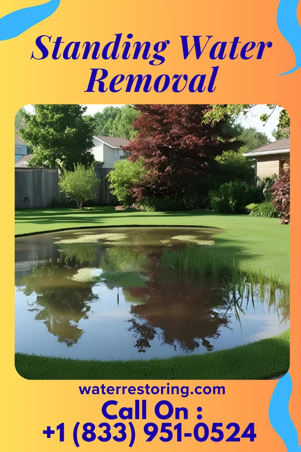 Standing Water Removal in Cameron, OK